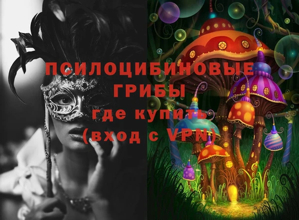 крисы Белокуриха