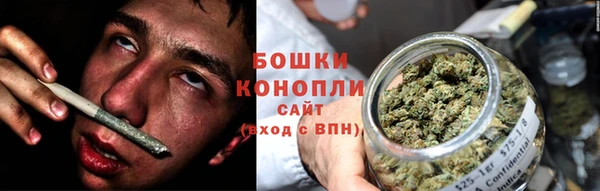 apvp Богородицк
