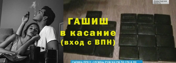 крисы Белокуриха